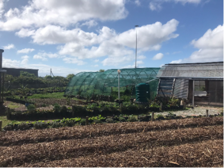 Garden_project (2023)