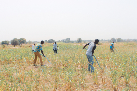 Capacité de production renforcée des paysans burkinabés dans une approche écoresponsable