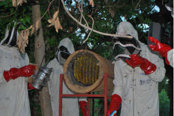 Apiculture (Bee Better)