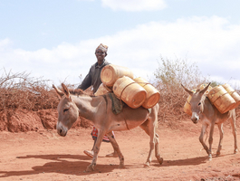 Assurer ensemble la sécurité alimentaire dans le sud aride du Kenya Assurer ensemble la sécurité alimentaire dans le sud aride du Kenya