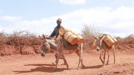 Assurer ensemble la sécurité alimentaire dans le sud aride du Kenya Assurer ensemble la sécurité alimentaire dans le sud aride du Kenya