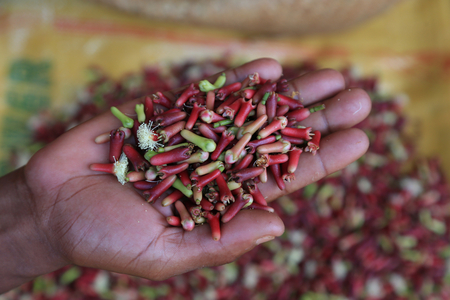 BonAPTI : Bongolava Alimentation, Production et Transformation Intégrée BonAPTI : Bongolava Alimentation, Production et Transformation Intégrée
