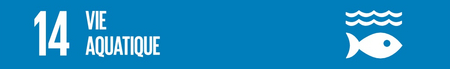 Projet de renforcement de la résilience économique et environnementale des zones côtières les plus vulnérables au changement climatique (Phase II) - REEZO 2