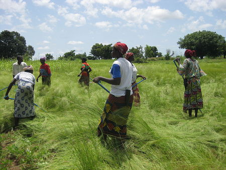 Augmenter les capacités de production des paysans burkinabés dans une approche écoresponsable Augmenter les capacités de production des paysans burkinabés dans une approche écoresponsable